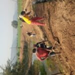 इलिया से बिहार मे बिना रोकटोक जा रही यूरिया