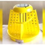 चंद्रप्रभा अभयारण्य में भालुओं का कुनबा 200 के पार