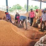 कलेक्ट्रेट सभागार में किसान दिवस: धान खरीद गड़बड़ी पर सख्त कार्रवाई के निर्देश