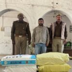 राइजिंग सन वर्ल्ड स्कूल में विंटर कार्निवल व साइंस एग्जीबिशन की धूम