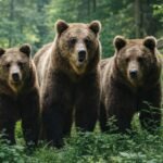 75% अनुदान पर सोलर लाइट ट्रैप,हानिकारक कीटों से फसलों की होगी सुरक्षित रखवाली