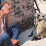 चंदौली पुलिस विभाग में बड़ा फेरबदल, कई पुलिसकर्मियों का यूपी-112 में किया गया स्थानांतरण