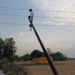 भीषण गर्मी में राहत: सैदूपुर बाजार में निःशुल्क प्याऊ का शुभारंभ