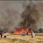 किसान विकास मंच का स्थापना दिवस ‘किसान पर्व’ के रूप में मनाया गया