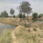 बिना कनेक्शन चल रहा समरसेबल! घुरहुपुर बौद्ध स्थल की बिजली व्यवस्था पर उठे गंभीर सवाल
