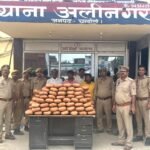 शहाबगंज के केरायगांव में हरियाली का संकल्प, जनभागीदारी से हुआ पौधरोपण अभियान