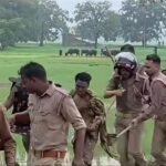 सफाईकर्मी गांव से नदारद, बीडीओ आवास पर खाना बनाने का आरोप