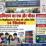 मैनपुर में मंदिर पर उपद्रव, प्रतिमा खंडित होने से मचा हड़कंप